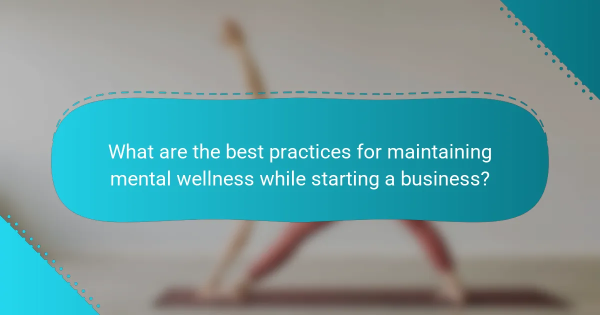 What are the best practices for maintaining mental wellness while starting a business?