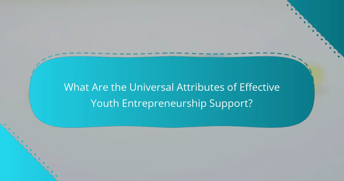 What Are the Universal Attributes of Effective Youth Entrepreneurship Support?